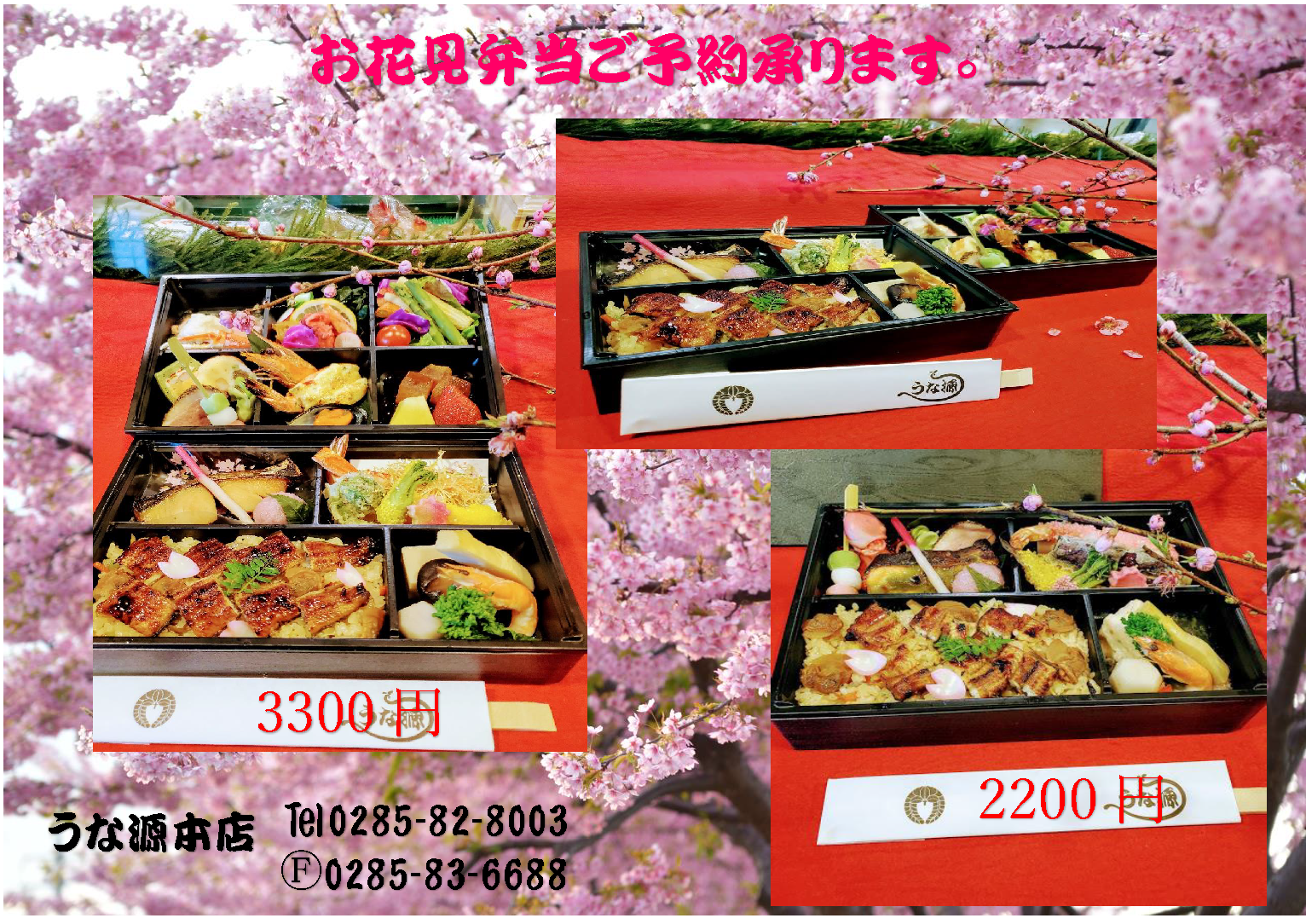 お花見弁当予約受付中 うな源 本店 お花見弁当予約受付中 うな源 本店